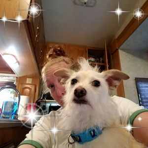 Meet your Posher, Megan